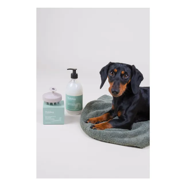 Cepillo de masaje para perros Holidog