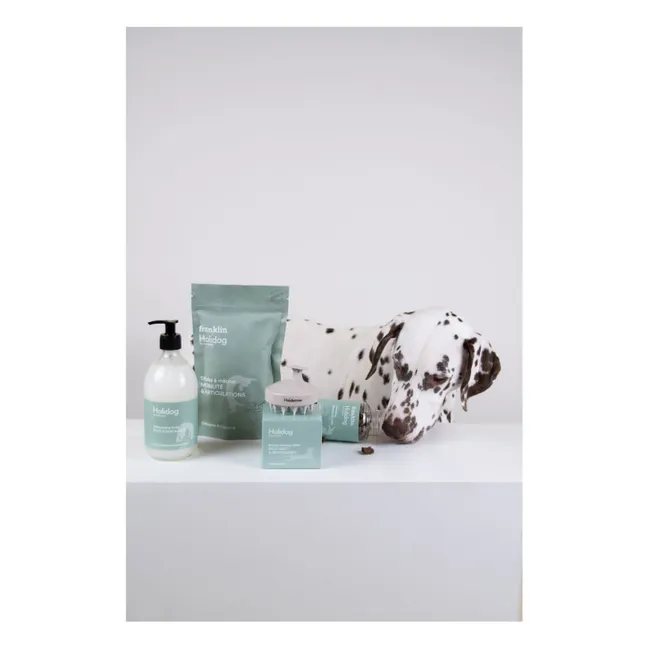 Shampoing pour chien sans sulfate Holidog - 480ml