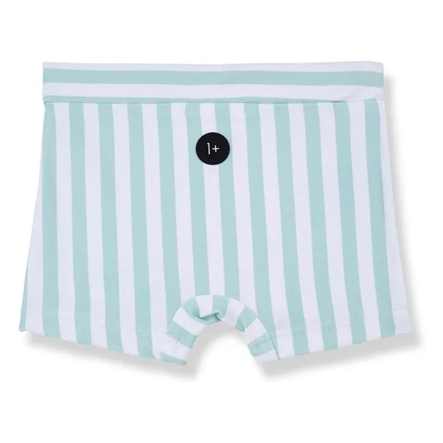 Morell Striped Bath Trunks | Almond green