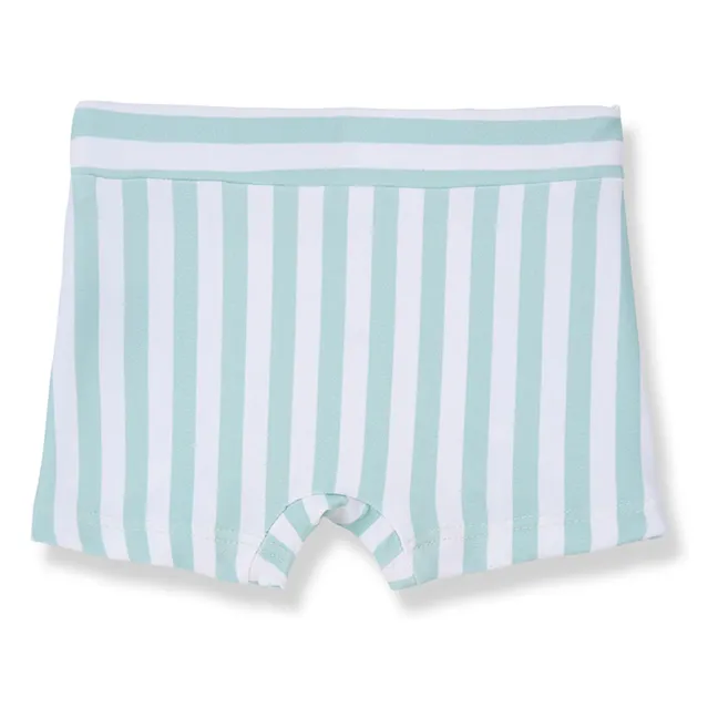 Morell Striped Bath Trunks | Almond green