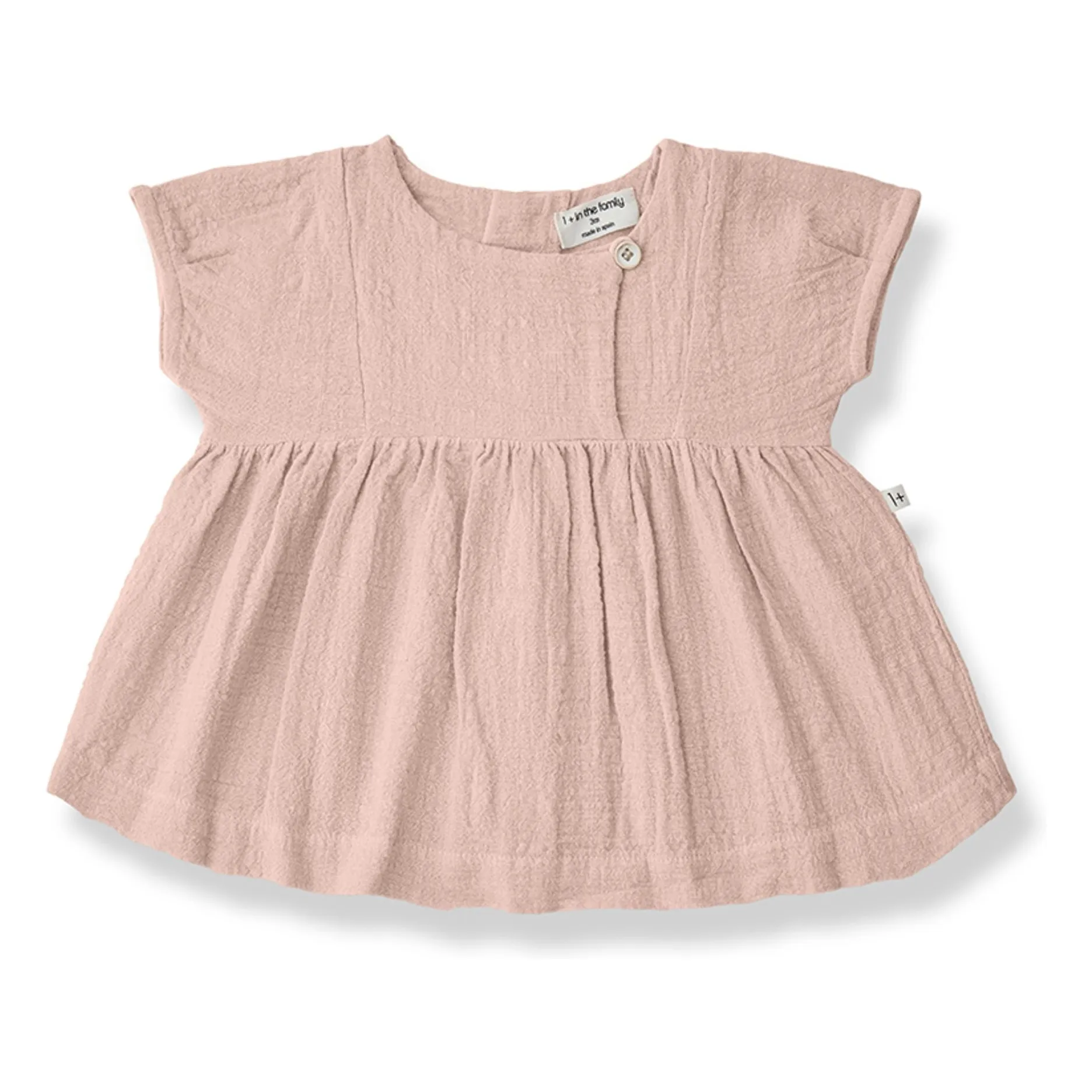 1+ In The Family Dusty Pink Gualta Chiffon Dress