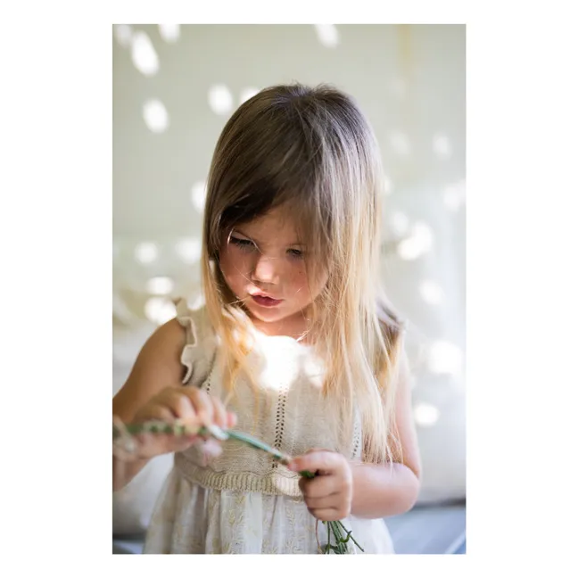 Soana Embroidered Dress | Ecru