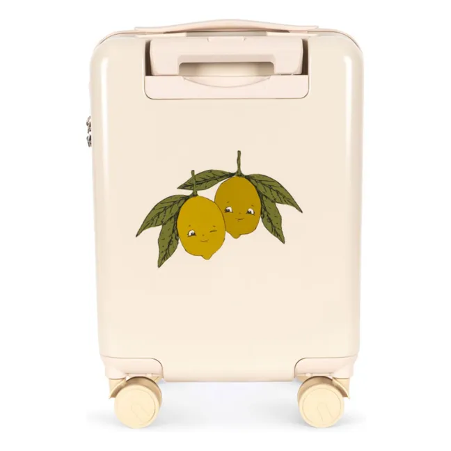 Sweet and Sour suitcase