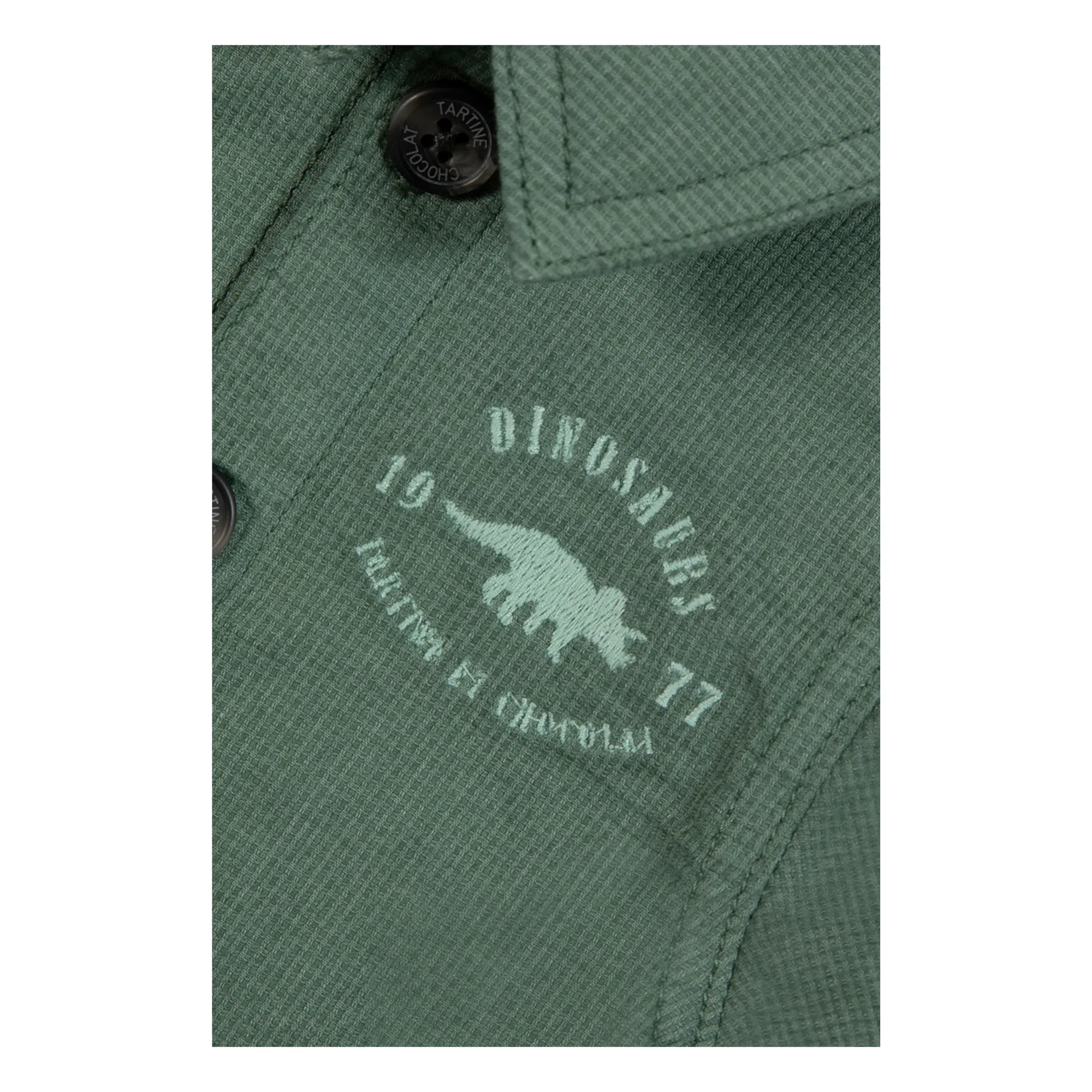 Veste Dinosaure | Khaki- Image produit n°3