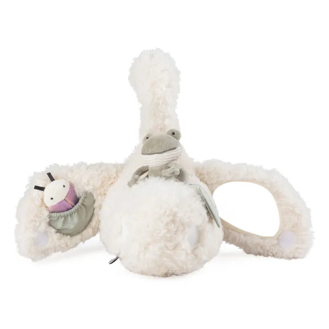 Actividad cisne | Blanco