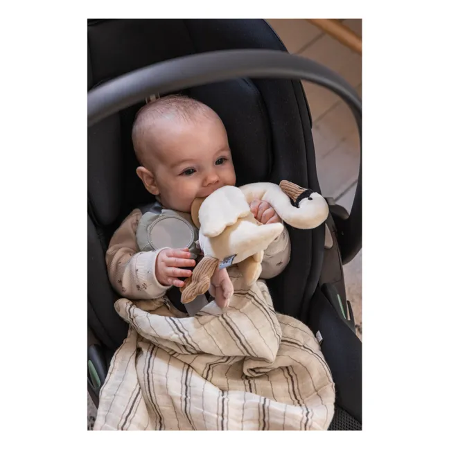 Cisne de actividades colgantes | Blanco