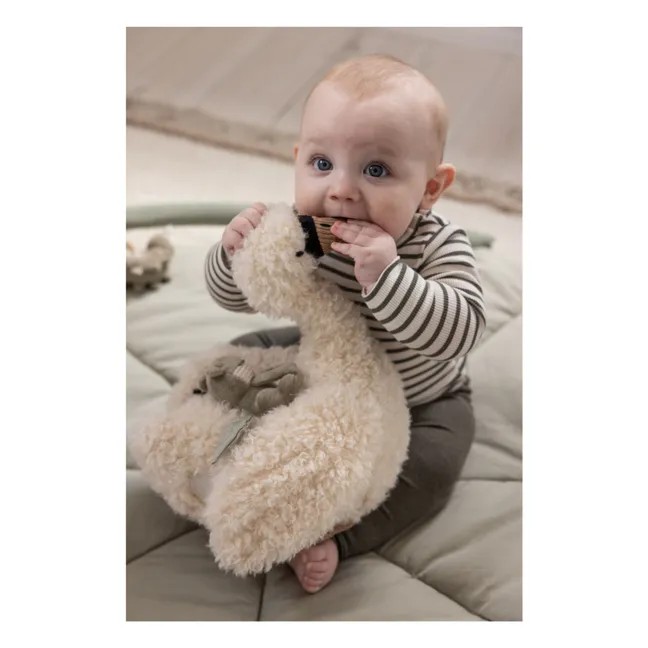 Actividad cisne | Blanco