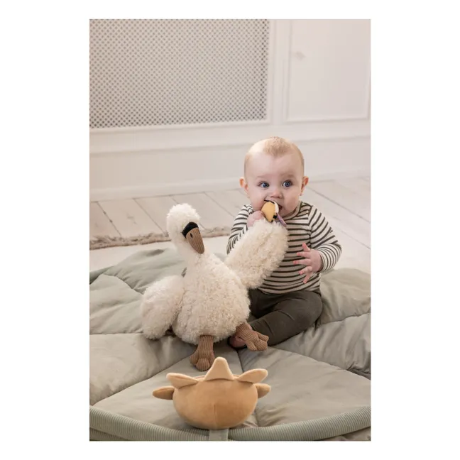 Actividad cisne | Blanco