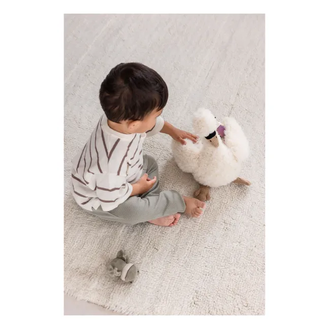 Actividad cisne | Blanco