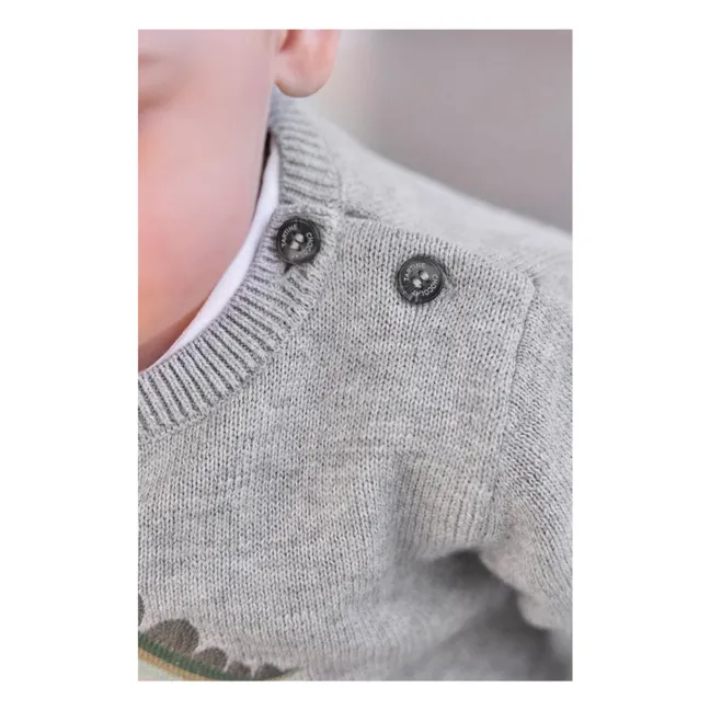 Pull Chiné Explorateur  | Gris