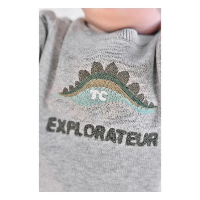 Pull Chiné Explorateur  | Gris