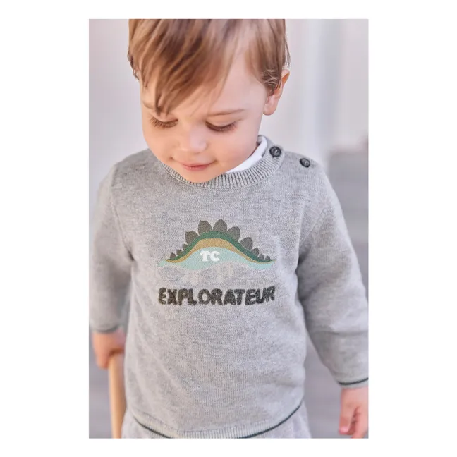 Pullover Meliert Explorer  | Grau