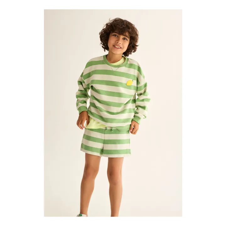 Sweat Dan Rayé Citron | Vert prairie- Image produit n°6
