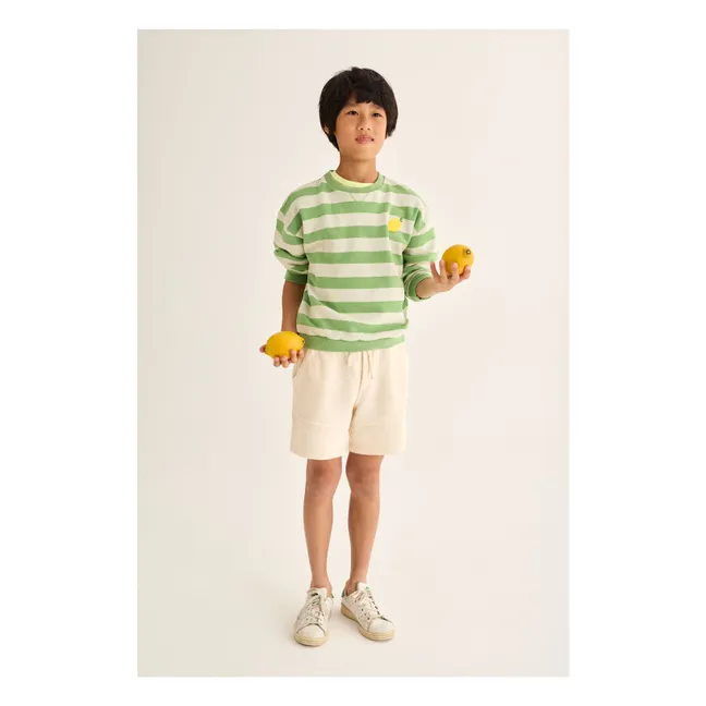 Sudadera de rayas Dan Lemon | Verde Prado