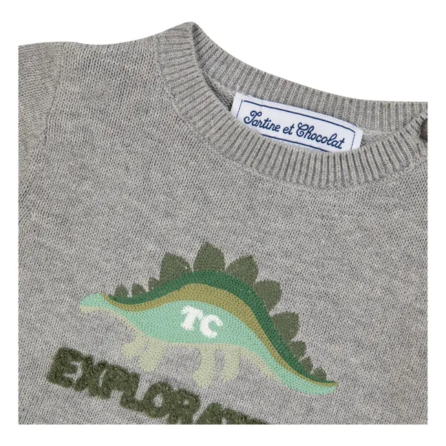 Pull Chiné Explorateur  | Gris