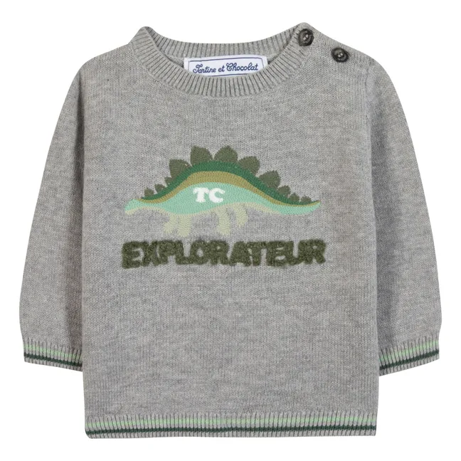 Pull Chiné Explorateur  | Gris
