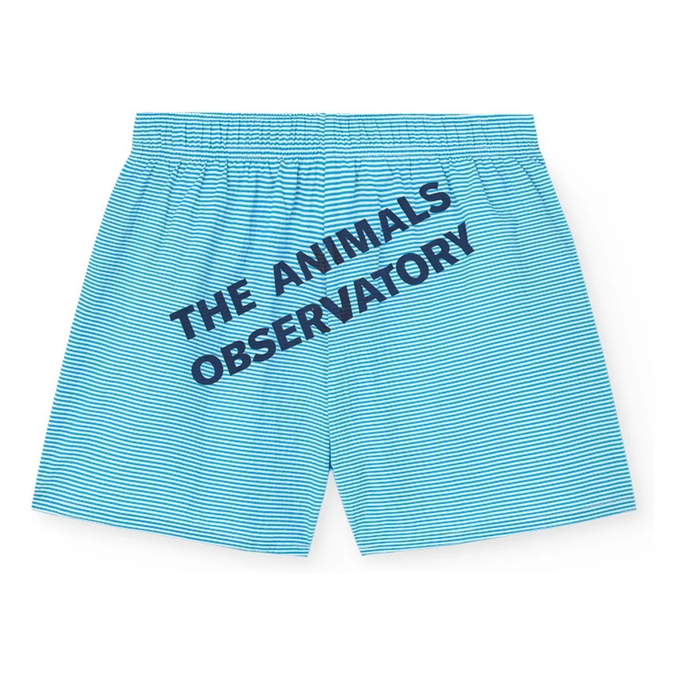 Short Gavial Rayé | Bleu- Image produit n°0