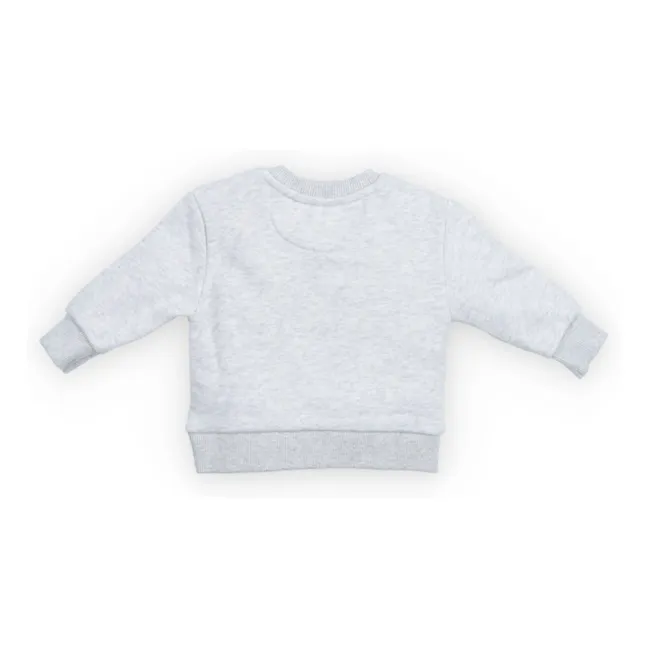 Sweatshirt TNS Logo | Grau Meliert