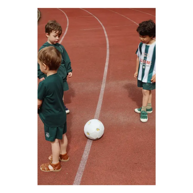 Act striped T-shirt Recycled fibers | Green