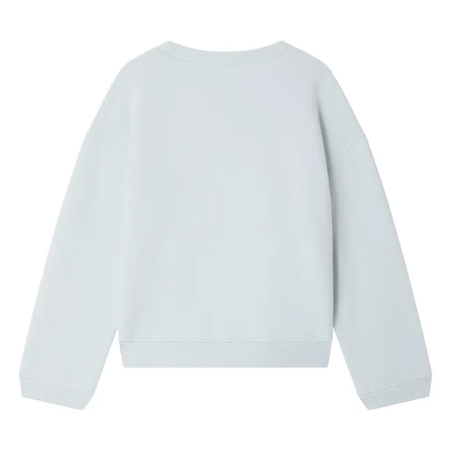 Sudadera de algodón orgánico Erol Bateau | Agua