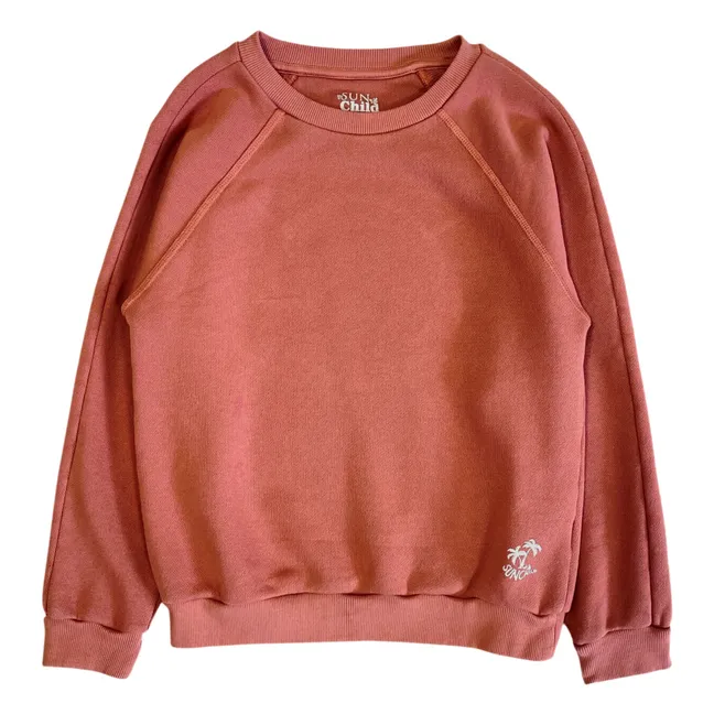 Douglas sweatshirt | Brown