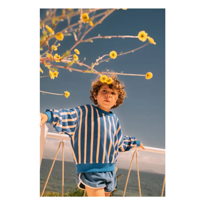 Sudadera de rizo de algodón orgánico a rayas Nat | Azul- Imagen del producto n°1