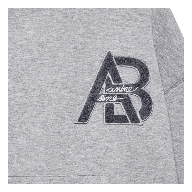 Sudadera Jacie Letterman | Gris Jaspeado