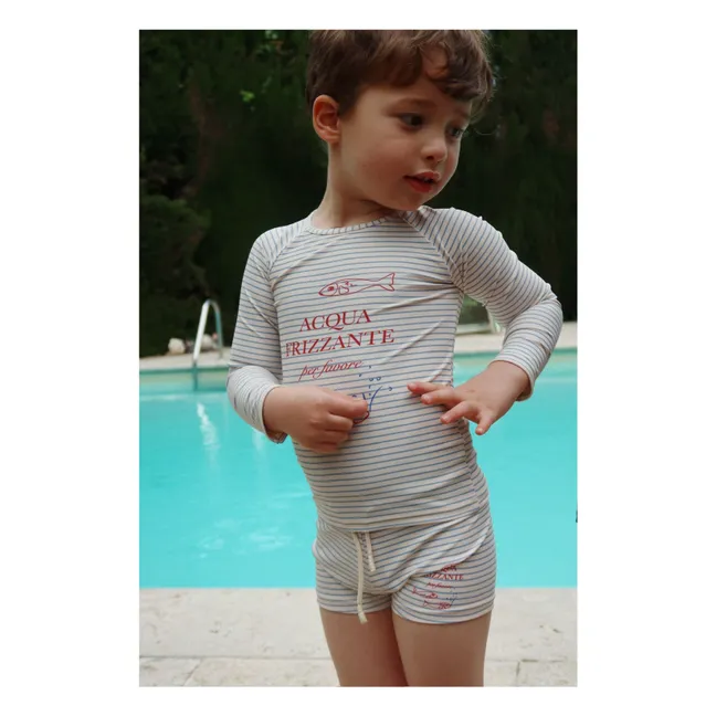 Aster Striped Recycled Fiber Swim Shorts | Beige