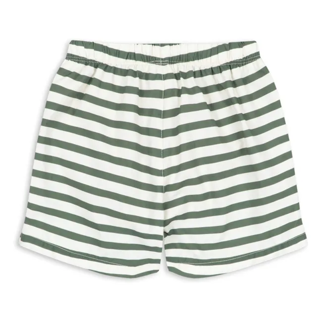 Asnou Striped Recycled Fiber Swim Shorts | Green