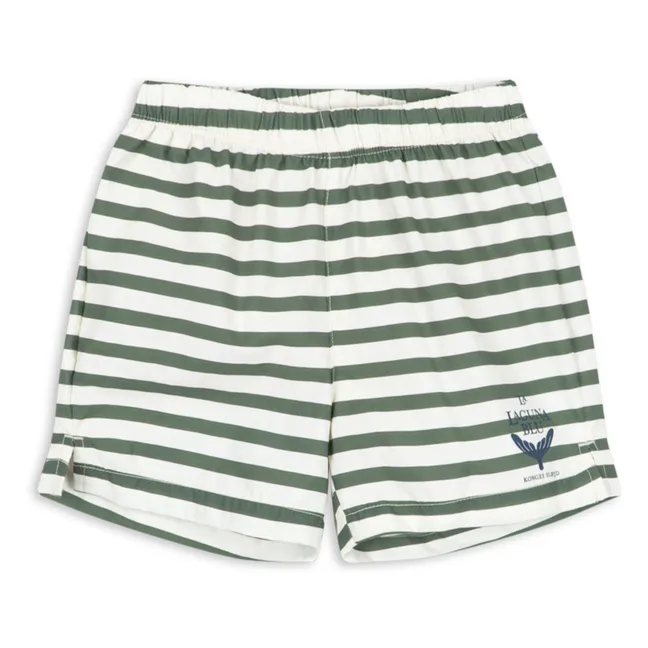 Asnou Striped Recycled Fiber Swim Shorts | Green