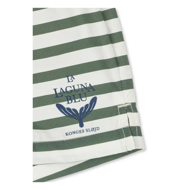 Asnou Striped Recycled Fiber Swim Shorts | Green