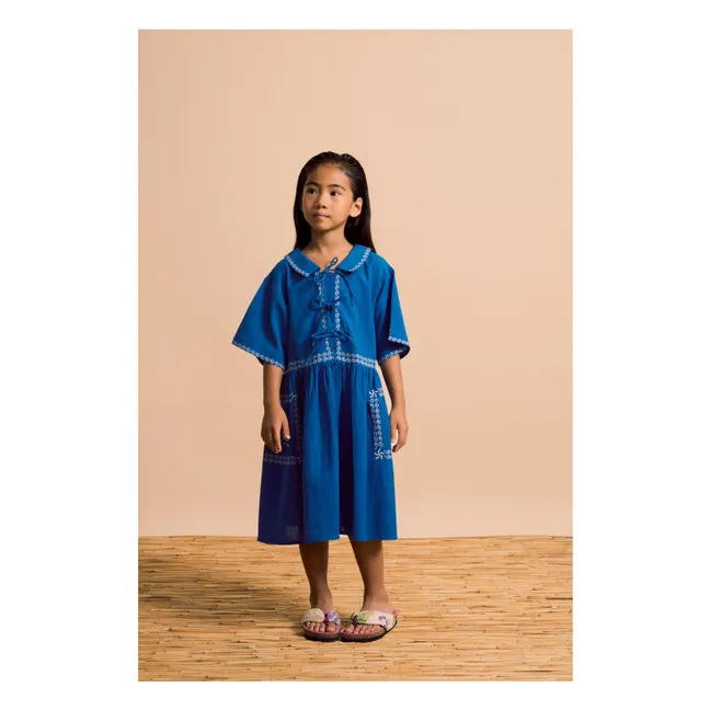 Voiles Embroidered Dress | Blue