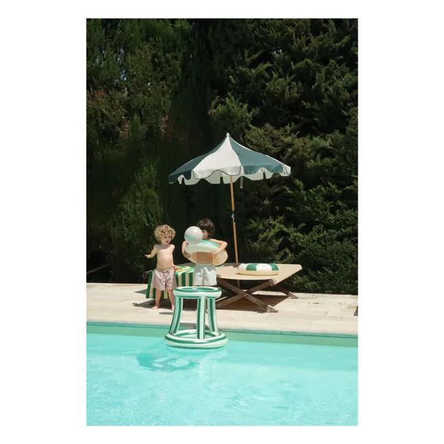 Panier de basket gonflable | Vert