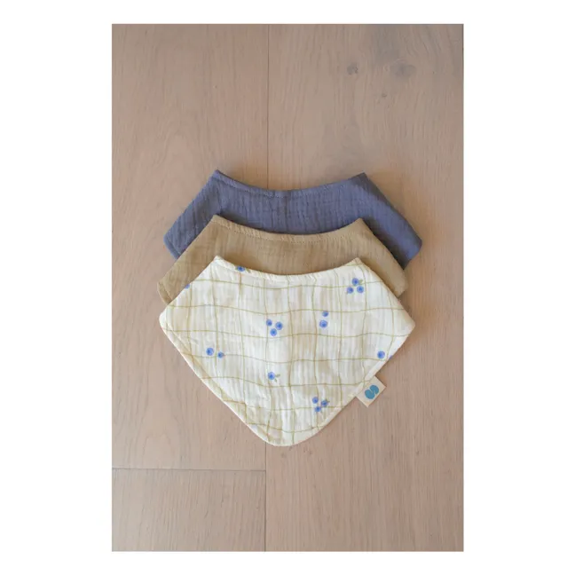 Coffret de naissance Blueberries