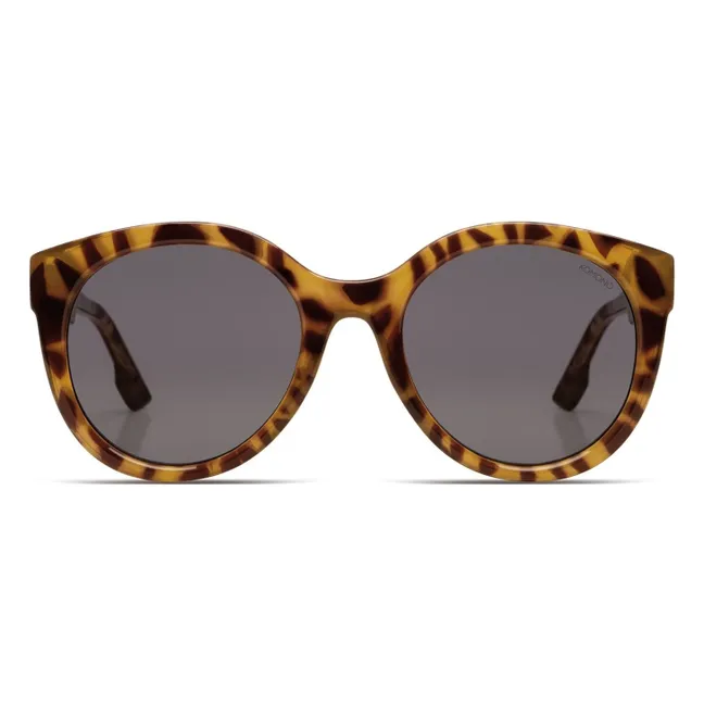 Gafas de sol Ellis | Arena