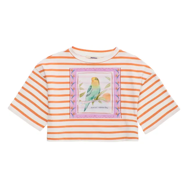 T-shirt Crop Rayé | Orange