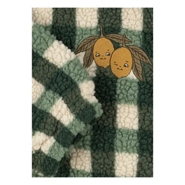 Recycled Fiber Sherpa Jody Carreaux Jacket | Green