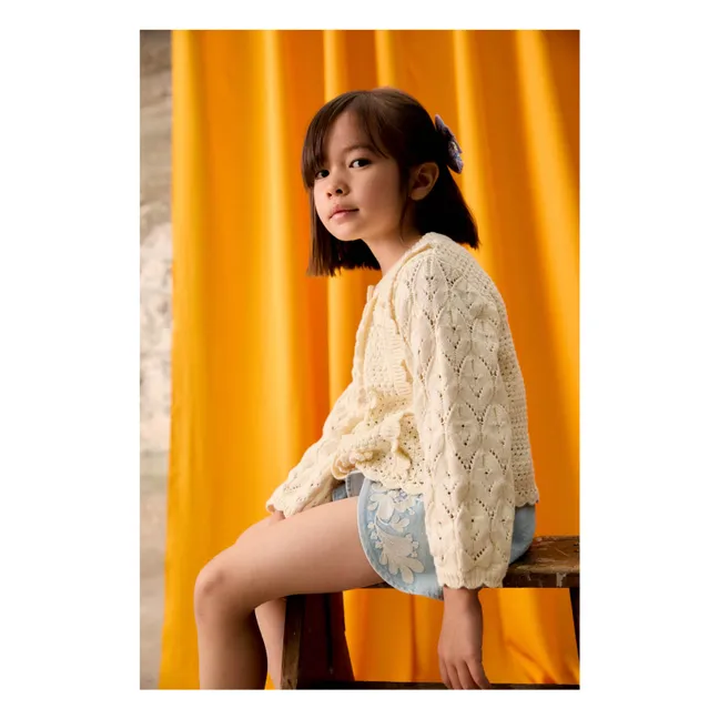 Embroidered Denim Shorts | Blue