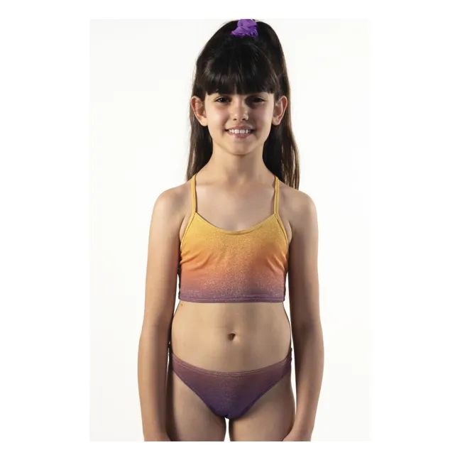 Maillot de Bain Ellis Pailleté Dégradé | Violet