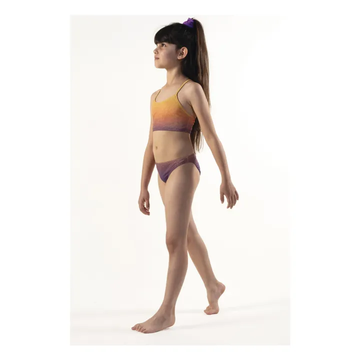 Maillot de Bain Ellis Pailleté Dégradé | Violet- Image produit n°1