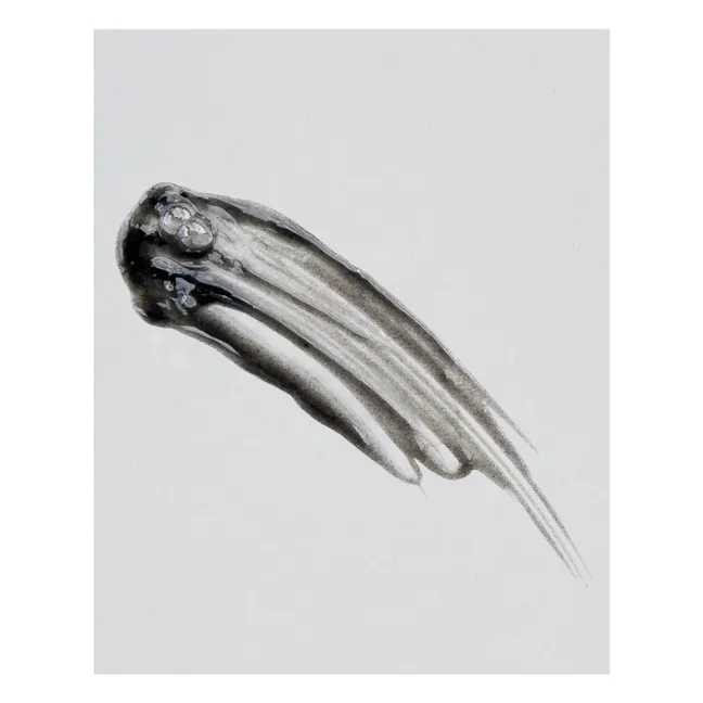 Limpiador purificante Menta negra