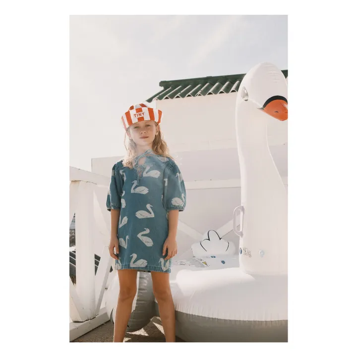 Denim Swans Dress | Blue- Product image n°4