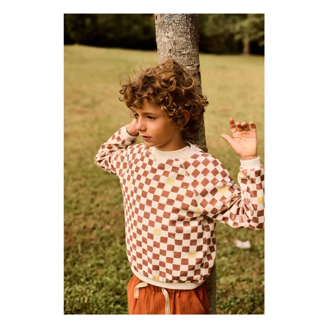 Maglione in spugna Damier | Marrone