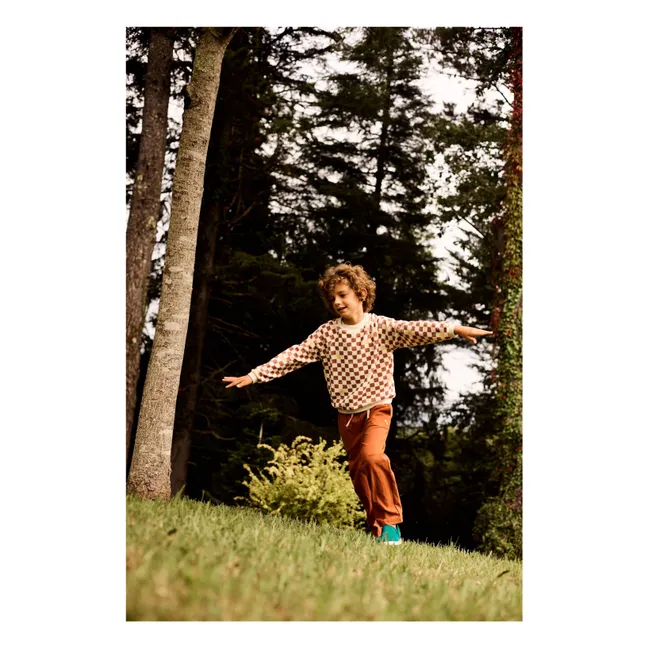 Maglione in spugna Damier | Marrone