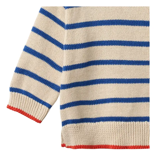 Maglione Morgan a righe in cotone biologico | Blu