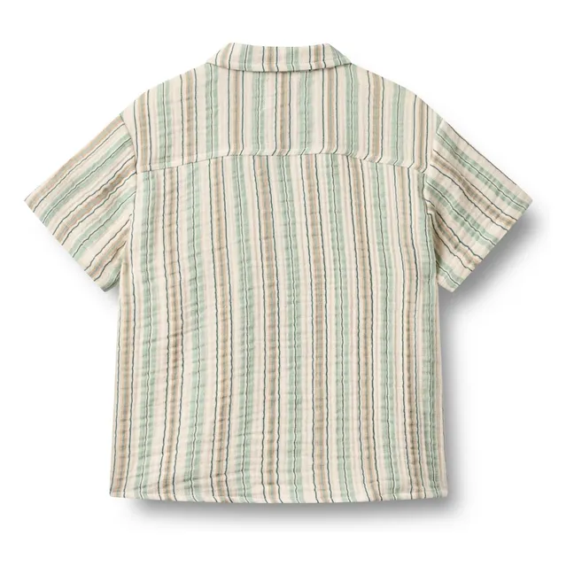 Camisa a rayas de algodón ecológico Anker | Verde Pálido