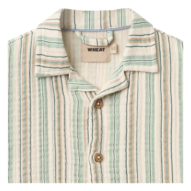 Camisa a rayas de algodón ecológico Anker | Verde Pálido