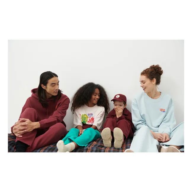 Collaboration American Vintage X Smallable - Sweat Izubird | Bleu ciel