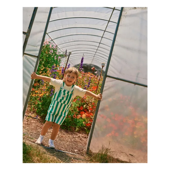 Peto corto a rayas | Verde