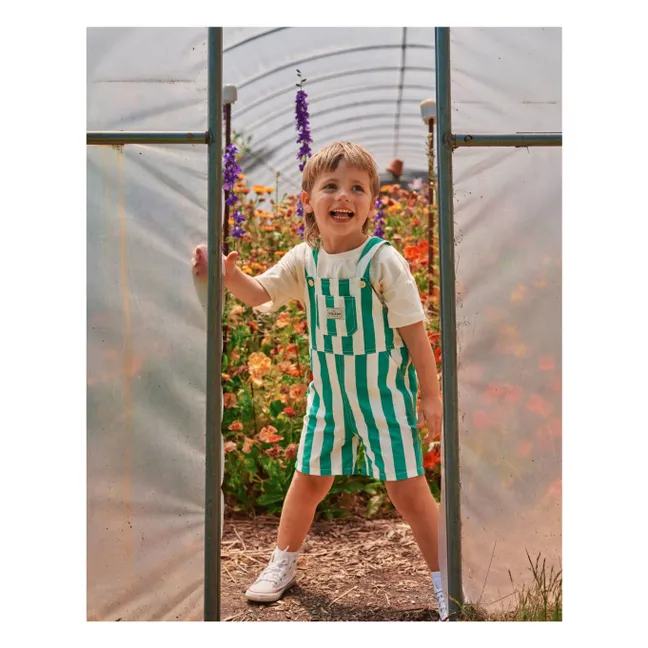 Salopette Courte Rayée | Vert